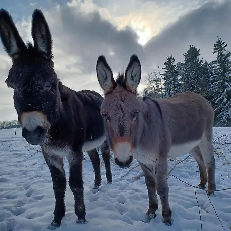 아파트 At 2 Donkeys - Country Life With A Large Kitchen *