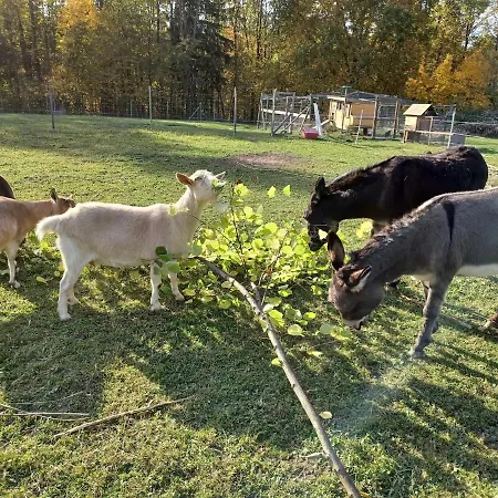 At 2 Donkeys - Country Life With A Large Kitchen * Svitavy